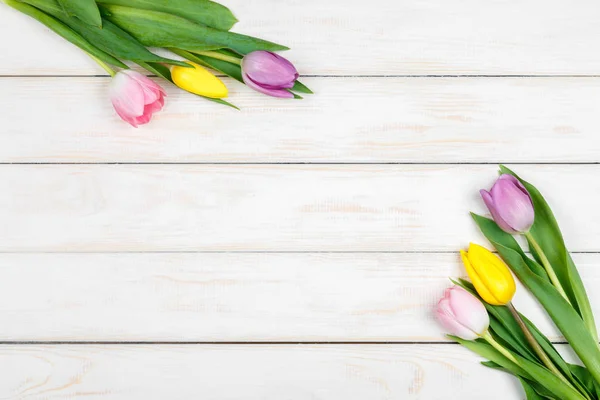 Bando de tulipas coloridas deitadas sobre um fundo de madeira branco — Fotografia de Stock