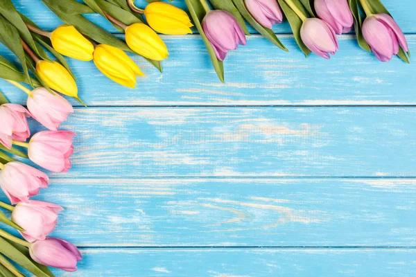 Bando de tulipas amarelas e rosa em um fundo de madeira azul . — Fotografia de Stock