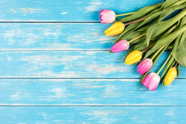 Bando de tulipas rosa e amarela em um fundo de madeira azul . — Fotografia de Stock