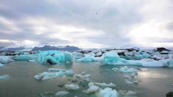 Ледяная лагуна — стоковое видео