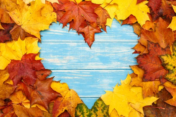 Heart-shaped autumn maple leaves on a blue wooden background