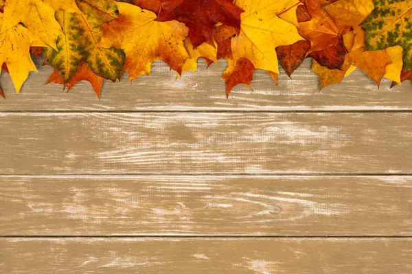 Feuilles d'érable d'automne sur fond de bois brun Image En Vente