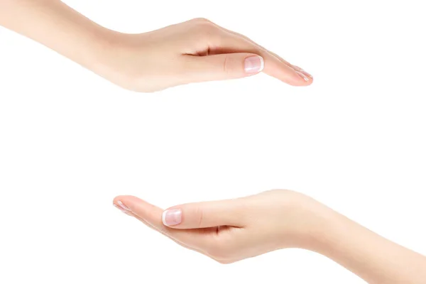 Vazio duas mãos femininas no fundo branco . — Fotografia de Stock