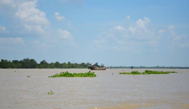 Mekong Delta, Vietnam, bitkiler yüzen tarafından çevrili üzerinde ahşap tekneler.