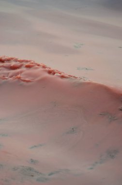 Okyanus dalgası alglerin açması sonucu pembeye döndü..