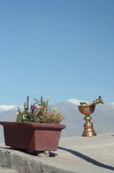 Two ceremonial cups of gold and bronze are resting on a stone ledge in a Buddhist temple. Beside them is a red planter box filled with flowers. In the distance are the snow topped peaks of the Western Himalayas. The sky is blue.