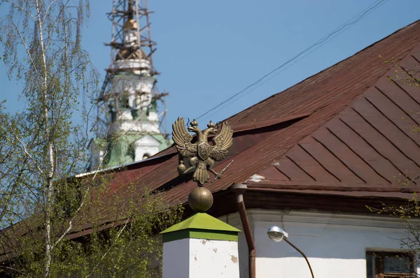 Doppelkopf-Adler — Stockfoto