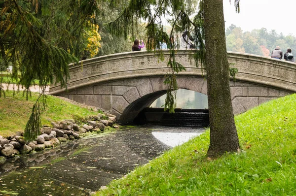 Parktaki köprü