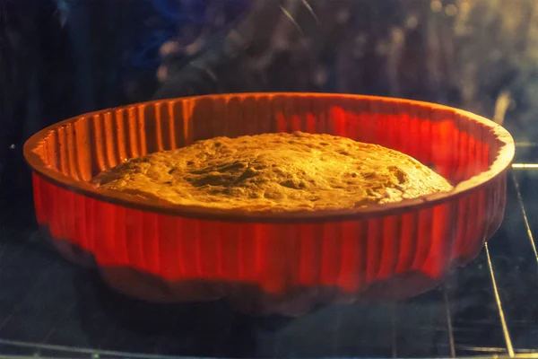 Closeup photo of big pie baking — Stock Photo, Image