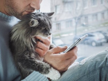 Genç adam kenarında oturur, güzel, kabarık kedi yavrusu kucağında tutar ve Haberler cep telefonundan okur