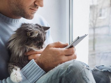 Genç adam kenarında oturur, güzel, kabarık kedi yavrusu kucağında tutar ve Haberler cep telefonundan okur