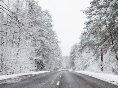 Karlı bir orman karayolu