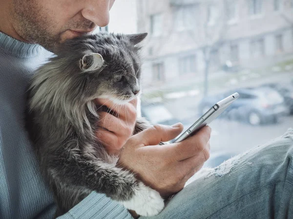 Genç adam kenarında oturur, kedi yavrusu kucağında tutar ve haber okur