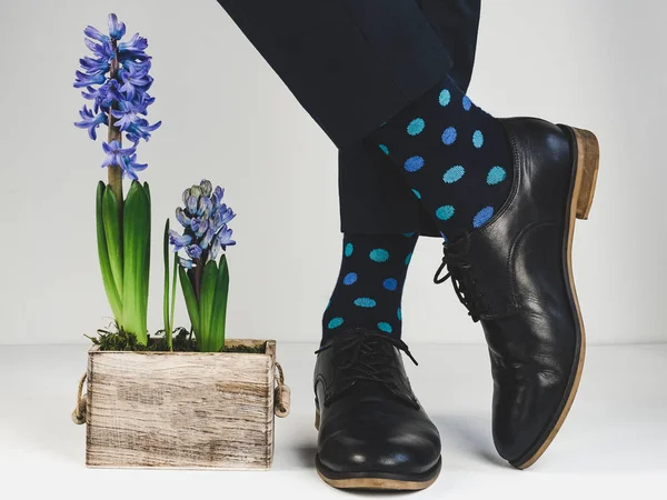 Κομψά παπούτσια, φωτεινές κάλτσες και τα φυτά — Φωτογραφία Αρχείου