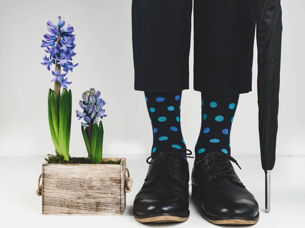 Стильная обувь, яркие носки, зонтик — стоковое фото