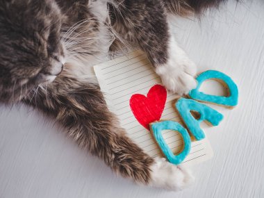 Kedi pençeleri, tebrik kartı ve word baba