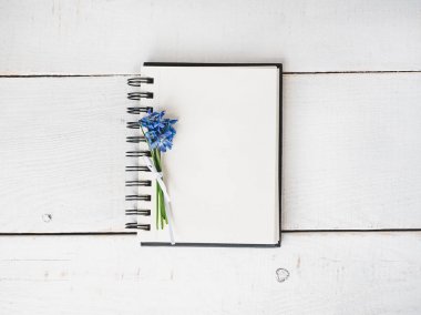 Kutlama için boş not defteri