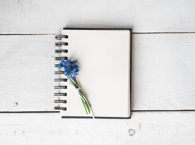 Kutlama için boş not defteri