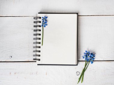 Kutlama için boş not defteri