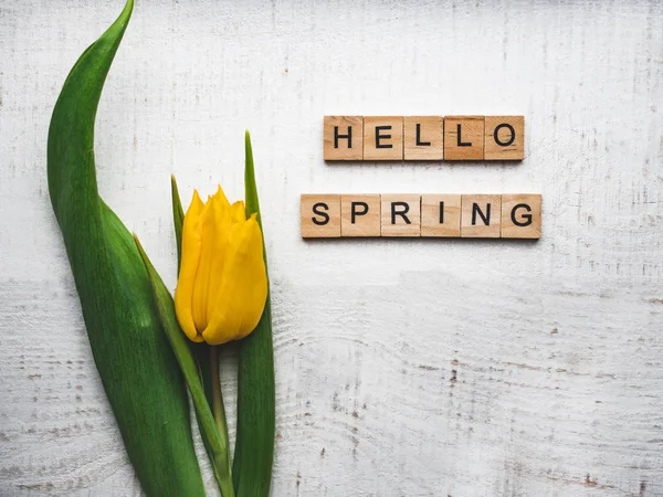 Beautiful greeting card with the word SPRING — Stock Photo, Image