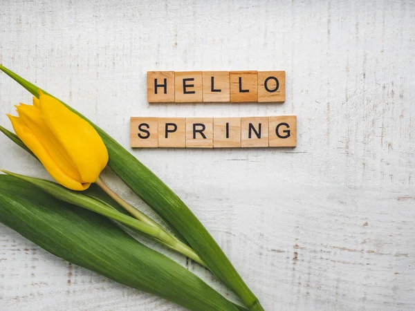 Beautiful greeting card with the word SPRING — Stock Photo, Image