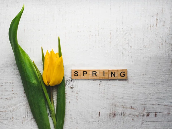 Beautiful greeting card with the word SPRING — Stock Photo, Image