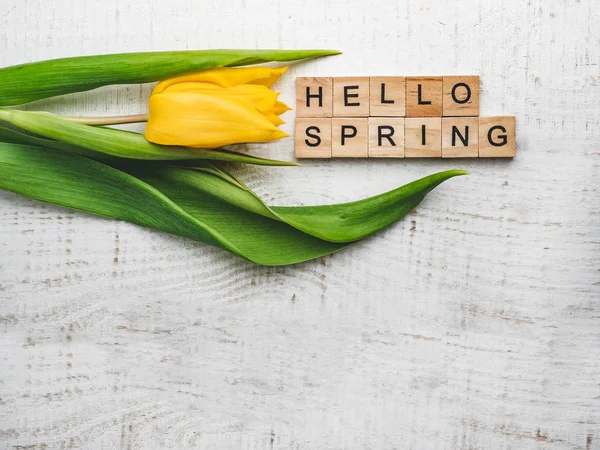 Beautiful greeting card with the word SPRING — Stock Photo, Image