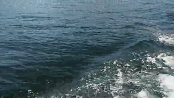 Delfíni se plavou v mořských vlnách. Ománské fjordy — Stock video