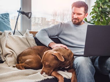 Yakışıklı bir adam ve sevimli bir köpek yavrusu. Yakın plan, kapalı mekan. Stüdyo fotoğrafı, beyaz renk. Bakım, eğitim, itaat eğitimi ve evcil hayvan yetiştirme kavramı