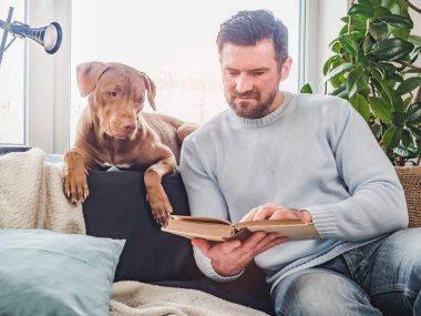 Yakışıklı bir adam ve sevimli bir köpek yavrusu. Evden çalışmak. Yakın plan, kapalı mekan. Stüdyo fotoğrafı, beyaz renk. Bakım, eğitim, itaat eğitimi ve evcil hayvan yetiştirme kavramı