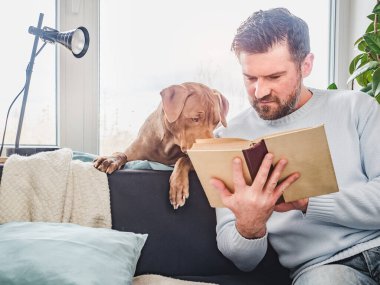 Yakışıklı bir adam ve sevimli bir köpek yavrusu. Evden çalışmak. Yakın plan, kapalı mekan. Stüdyo fotoğrafı, beyaz renk. Bakım, eğitim, itaat eğitimi ve evcil hayvan yetiştirme kavramı