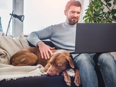 Yakışıklı bir adam ve sevimli bir köpek yavrusu. Evden çalışmak. Yakın plan, kapalı mekan. Stüdyo fotoğrafı, beyaz renk. Bakım, eğitim, itaat eğitimi ve evcil hayvan yetiştirme kavramı