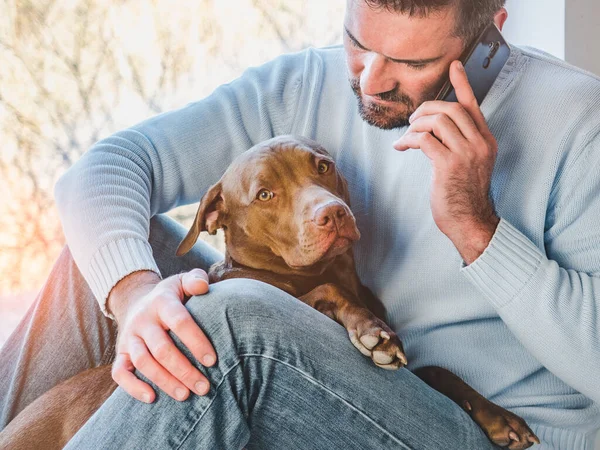 Yakışıklı bir adam ve sevimli bir köpek yavrusu. Yakın plan, kapalı mekan. Stüdyo fotoğrafı, beyaz renk. Bakım, eğitim, itaat eğitimi ve evcil hayvan yetiştirme kavramı