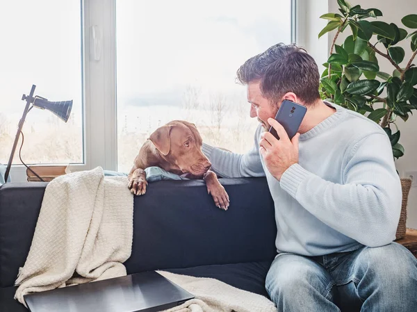 Yakışıklı bir adam ve sevimli bir köpek yavrusu. Yakın plan, kapalı mekan. Stüdyo fotoğrafı, beyaz renk. Bakım, eğitim, itaat eğitimi ve evcil hayvan yetiştirme kavramı