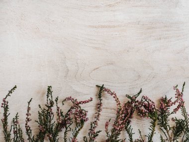 Güzel, parlak kır çiçekleri beyaz, ahşap bir masada yatıyor. Yukarıdan görüntüle, yakın plan