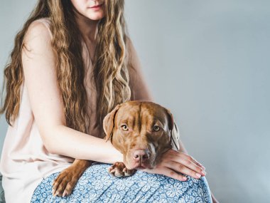 Şık bir kadın ve sevimli bir köpek yavrusu. Yakın plan, kapalı mekan. Stüdyo fotoğrafı, beyaz renk. Bakım, eğitim, itaat eğitimi ve evcil hayvan yetiştirme kavramı