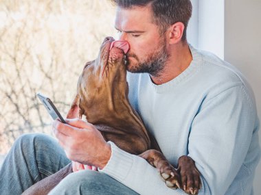 Yakışıklı bir adam ve sevimli bir köpek yavrusu. Yakın plan, kapalı mekan. Stüdyo fotoğrafı, beyaz renk. Bakım, eğitim, itaat eğitimi ve evcil hayvan yetiştirme kavramı