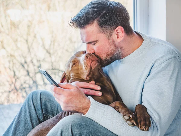 Yakışıklı bir adam ve sevimli bir köpek yavrusu. Yakın plan, kapalı mekan. Stüdyo fotoğrafı, beyaz renk. Bakım, eğitim, itaat eğitimi ve evcil hayvan yetiştirme kavramı