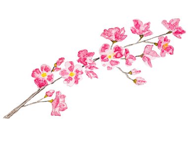 Güzel çiçeklerin olduğu bir tebrik kartı modeli. Yakın çekim, yukarıdan görüntü, boşluğu kopyala. Ailen, akrabaların, arkadaşların ve meslektaşların için tebrikler.