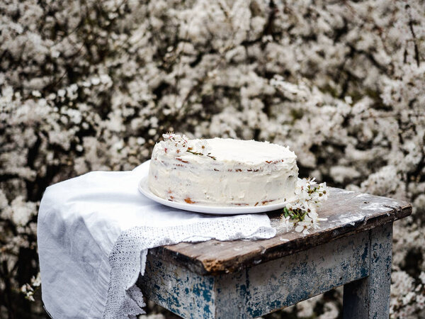 Flowering tree and fresh, homemade cake. Close-up, view from above, outdoors