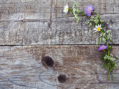Güzel, parlak kır çiçekleri beyaz, ahşap bir masada yatıyor. Yukarıdan görüntüle, yakın plan