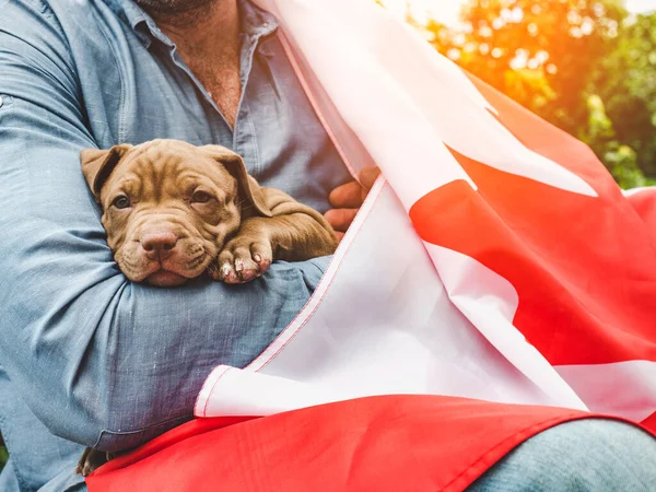 Yakışıklı bir adam ve sevimli bir köpek yavrusu. Yakın plan.