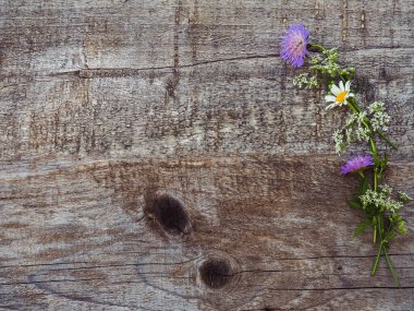 Güzel, parlak kır çiçekleri beyaz, ahşap bir masada yatıyor. Yukarıdan görüntüle, yakın plan