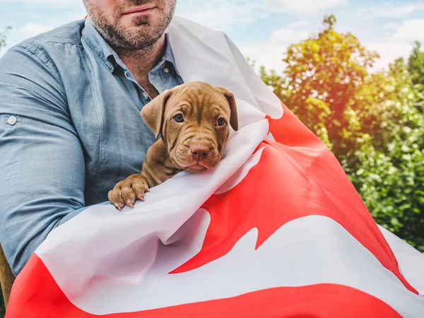 Hombre Atractivo Sostiene Cachorro Encantador Sobre Fondo Cielo Azul Día — Foto de Stock