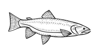 Roach balık el çekilmiş