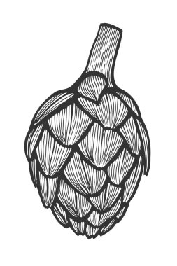 Enginar vektör çizim