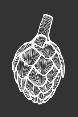 Enginar vektör çizim