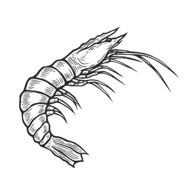 Karides elle çizilmiş