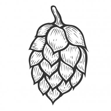 Organik bitki bitki hop