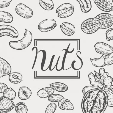 Organik fındık gıda